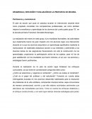 DESARROLLO, REFLEXIÓN Y EVALUACIÓN DE LA PROPUESTA DE MEJORA