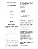 El muelle elástico informe