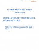 UNIDAD 1:MODELOS Y TEORIAS PARA EL CUIDADO ASISTENCIAL
