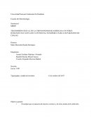 TRANSMISIÓN SEXUAL DE LA TRIPANOSOMIASIS AMERICANA EN SERES HUMANOS UNA NUEVA RUTA POTENCIAL PANDÉMICA PARA LOS PARÁSITOS DE CHAGAS