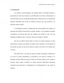 PROYECTO TIENDA CALZADO