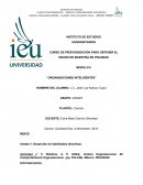 MODULO II “ORGANIZACIONES INTELIGENTES”