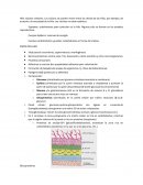Hongos generalidades