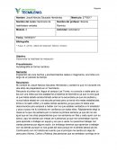 Seminario de habilidades verbales Actividad: Actividad 2