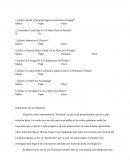 Encuesta Rol De Genero