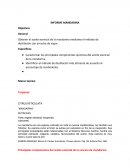 INFORME MANDARINA Objetivos