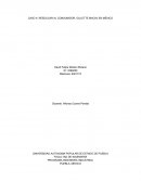 CASO 4: REEDUCAR AL CONSUMIDOR, GILLETTE MACH3 EN MÉXICO