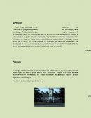 Iván Dragó participa en el concurso de invención de juegos auspiciado por La Compañía de los Juegos Profundos