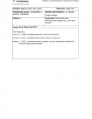 Actividad: Estudio del caso Boutique Eztravaganzza, ¿conviene crecer?