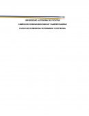 Metodologías de la investigación Producto académico: Biología marina