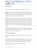 Trabajo: Identificación de insight en campañas publicitarias