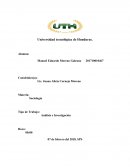 Sociología Análisis e Investigación