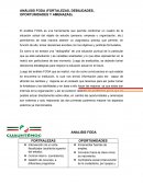 ANÁLISIS FODA (FORTALEZAS, DEBILIDADES, OPORTUNIDADES Y AMENAZAS)