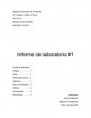 Informe de laboratorio #1 quimica