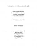 BARCO ELECTRICO INPULSADO POR RUEDAS CON PALAS