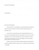 Ensayo final: Socioantropología