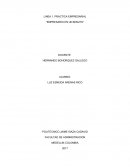 LINEA 1. PRACTICA EMPRESARIAL “EMPRESARIO EN UN MINUTO”