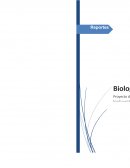 El proyecto de biología representa un trabajo para el cuidado del medio ambiente