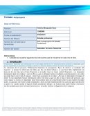 Estadía profesional