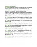 Analisis de los principios y valores