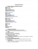 Creación de un nuevo producto de consumo masivo