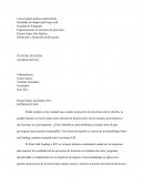 PLAN DE NEGOCIO Aerodrone delivery