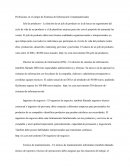 Profesiones en el campo de Sistemas de Información Computadorizados