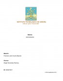Diferentes tipos de Planes, tratando en específico de la Empresa Maquilas Tetakawi S.A de C.V.