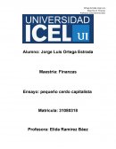 Ensayo: pequeño cerdo capitalista