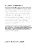 ¿Qué es la biodiversidad?