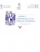 FUNDAMENTOS DE LA TEORIA DE ENFERMERIA