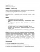 Análisis del desplome bursátil en Estados Unidos: Causas, consecuencias y el impacto de la era Trump