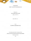 Programa de psicología ACTIVIDAD INDIVIDUAL