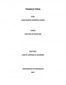 TRABAJO FINAL GESTION DE PROCESOS