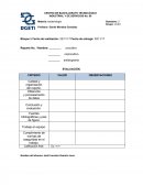 PRATICA DE DE BACTERIOLOGIA DE TERCER PARCIAL