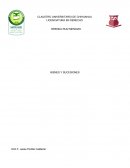 Ensayo de bienes y sucesiones