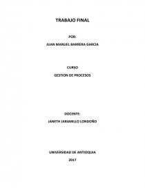 TRABAJO FINAL GESTION DE PROCESOS. Página 1