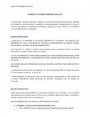 INFORME DE LA EMPRESA COMERCIAL DEPAJUSTE