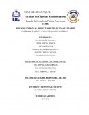 DISEÑO DE UN MANUAL DE PROCEDIMIENTO DE UNA CUENTA POR COBRAR QUE AFECTE A LOS ESTADOS FINANCIEROS