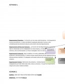 Tarea OACV 01