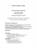 EQUIPO DE TRABAJO “ORIGEN” Informe Descripción Del Mercado