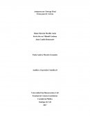 Anteproyecto- Entrega Final Activos