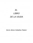 El libro perdido de Enki