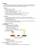 Control interno Elementos generales