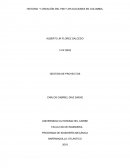 HISTORIA Y CREACIÓN DEL PMI Y APLICACIONES