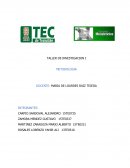 Automatización de energía con paneles solares