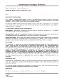 Desarrollo del plan Estratégico