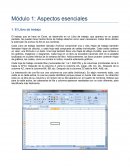 Módulo 1: Aspectos esenciales 1. El Libro de trabajo