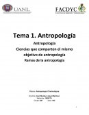 Antropología Ciencias que comparten el mismo objetivo de antropología Ramas de la antropología