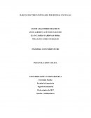 BARCO ELECTRICO INPULSADO POR RUEDAS CON PALAS